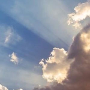 Meet your Posher, Lselie